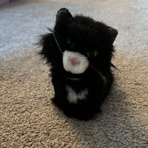 American girl doll cat- licorice